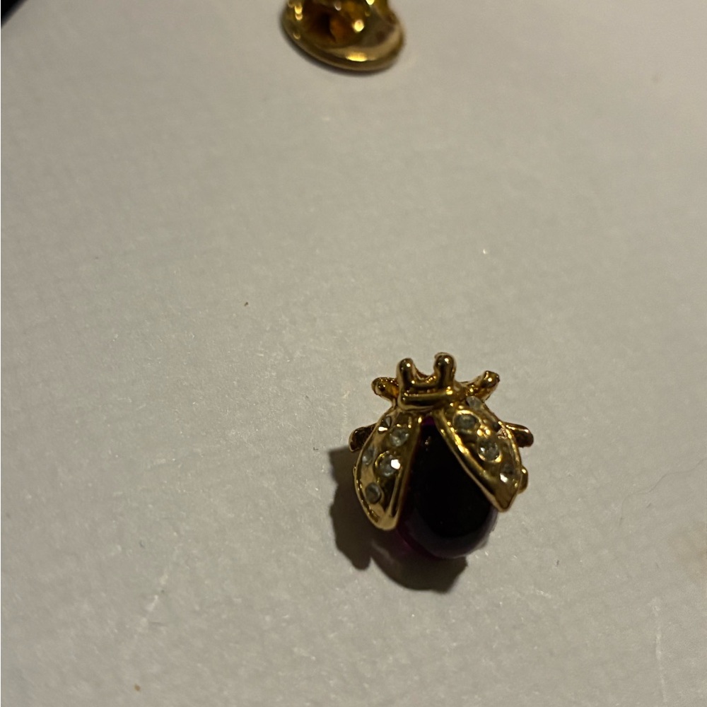 Gold and Black Ladybug Brooch